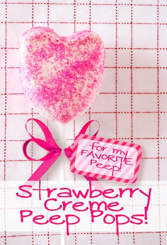 Peep-Pops-valentine-dipped-marshmallows-white-chocolate-sprinkles3 (10)