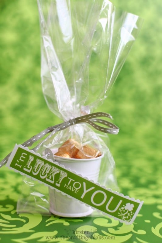 St. Patricks day favors from The Crafting Chicks