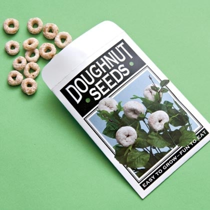 Spoonful doughnut seeds
