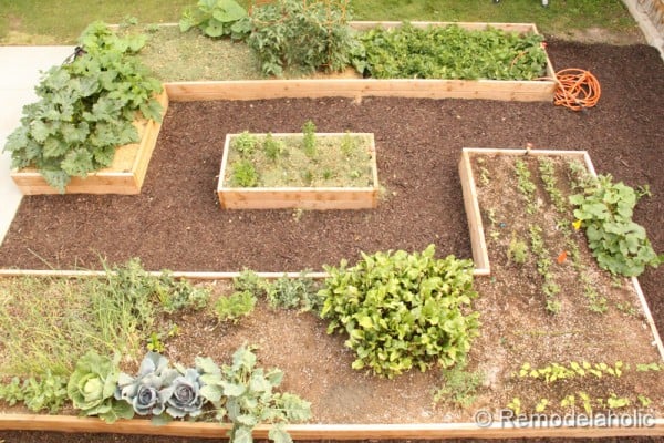 Ideas for how to set up a raised garden bed garden featured on remodelaholic.com