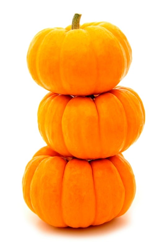10 DIY No-Carve Pumpkin Ideas