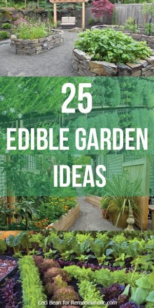 24-edible-garden-ideas-vertical