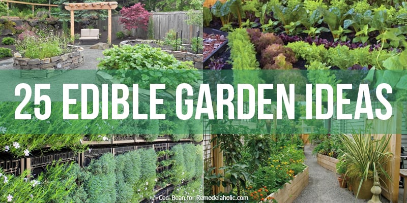25 Edible Garden Ideas