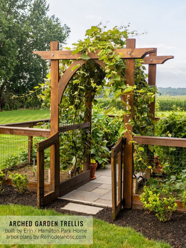 Arched Garden Arbor Trellis For Grapes, Fenced Raised Garden Boxes By Hamilton Park Home, Trellis Plans Remodelaholic