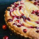 8 Cranberry Dessert Recipes - Tipsaholic.com
