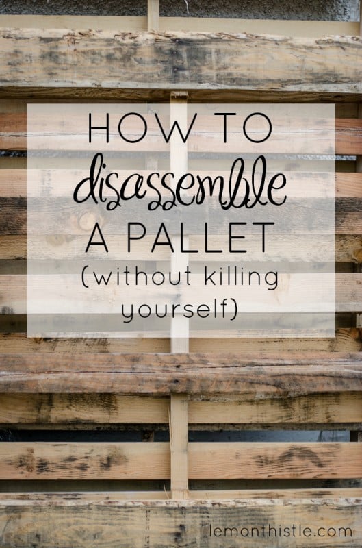 how to disassemble a pallet, Lemon Thistle